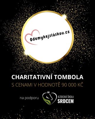 🎄Dobrých skutků není nikdy dost a před Vánoci obzvlášť.🎄 Projektem Jezdecká škola srdcem otřásla souhra nešťastných náhod,...